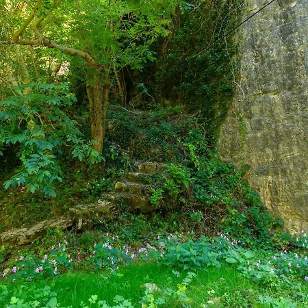 Le Moulin A La Caze